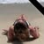 Michelle Kerrigan's profile image