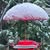 Mildred Kniss's profile image