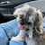 Janet Schaffer's profile image