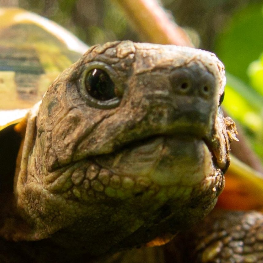 Erlinda L.'s profile image