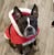 Debbie Clark S.'s profile image