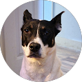 Scott Johnson's Profile Image