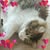 Edith Nuñez's profile image