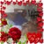 Larry Hall's profile image