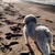 Rick N Beth Greiner's profile image