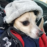 Katherine R.'s profile image