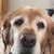Louise Rick Richter's profile image