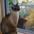 Toni Alger's profile image