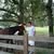 James Grewe's profile image