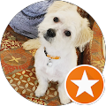 Crystal Meyer's Profile Image