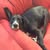 Allan Kitaguchi's profile image