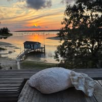 Dawn Demeritt's profile image