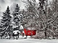 Daniell N.'s profile image