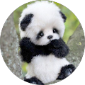 Olga Shik's Profile Image