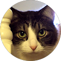 Stephanie Gee's Profile Image