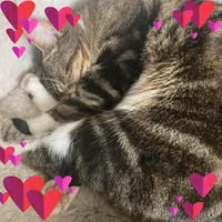 Kathy Bowerman's profile image