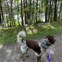 Jenna Calabrese Vaeth's profile image