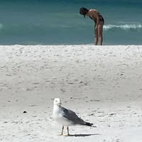 Toni Mohney-Teleha's profile image