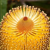 Bella Amaral's profile image