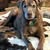 Darlene Moyer's profile image