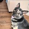 Melanie P.'s profile image