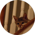 Patti Baker's Profile Image