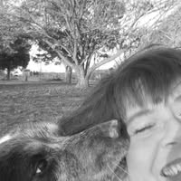 Kathleen Cain Gilbert's profile image