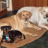 Andy Somers's profile image