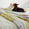 Gail L.'s profile image