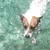 Debbie Redinger's profile image