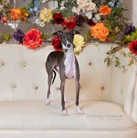 Valjeen Conklin's profile image