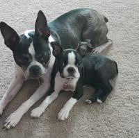 Jim Arntz's profile image