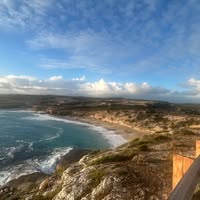 Claire Lee's profile image