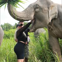 Amy Lynn's profile image