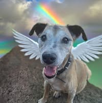 Cindy Liepuld's profile image