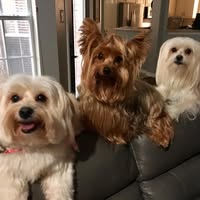 Leslie Smith's profile image