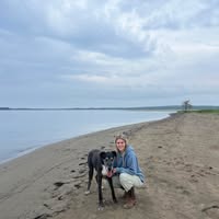 Danielle Marshall's profile image