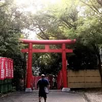 Lorenzo Restivo's profile image