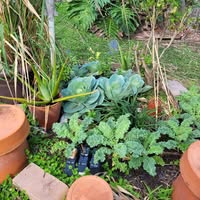 Stephen Verbit's profile image