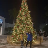 Sharitel Oquendo's profile image