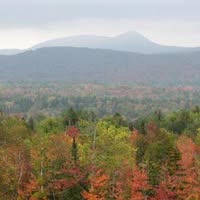 Liz Ferrer's profile image