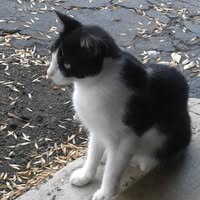 Roger Peterson's profile image