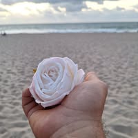 Wil Sol's profile image