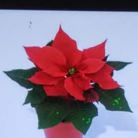 Pablo Rodriguez's profile image