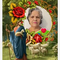 Nieves Pujol's profile image