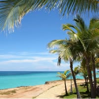 Caridad Montero's profile image