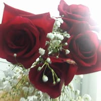 Pura Maria's profile image