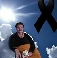 Sucre Jerez's profile image