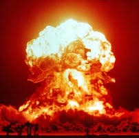 Adam Wolfe's profile image