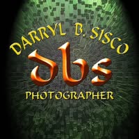 Db Artist's profile image